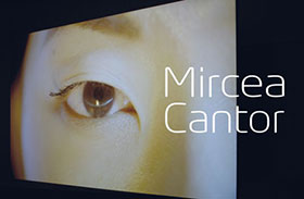 Mircea Cantor