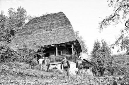 demontare casa crang in situ (1)