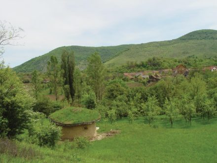 Casa verde, acoperiș verde