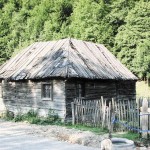 9. Casa Colda din satul Lupulești, nr. 465, în anul 2011 ©RPER