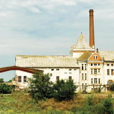 © Oana Androi și Ruxandra Sacaliș